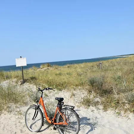 Beautiful In Damgarten With Garden Lägenhet *