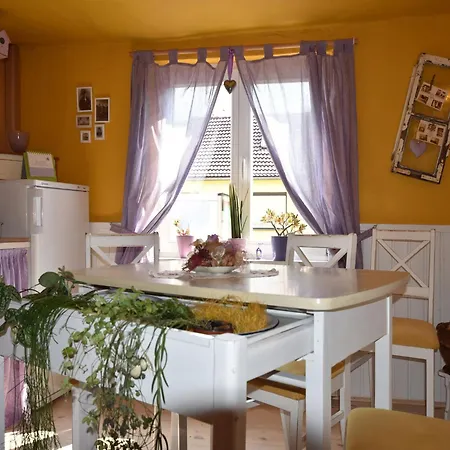 Beautiful In Damgarten With Garden Lägenhet *