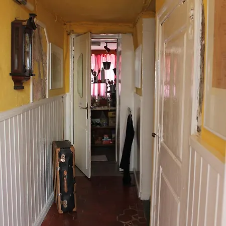 Beautiful In Damgarten With Garden Lägenhet *