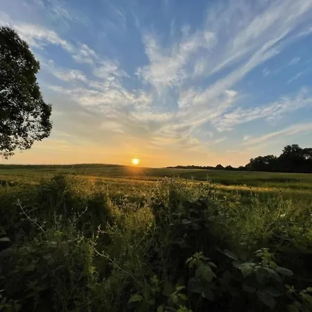 Lägenhet Beautiful In Damgarten With Garden *