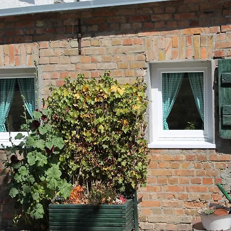 Lägenhet Beautiful In Damgarten With Garden