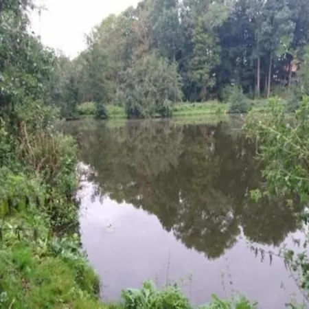 Beautiful In Damgarten With Garden Ribnitz-Damgarten