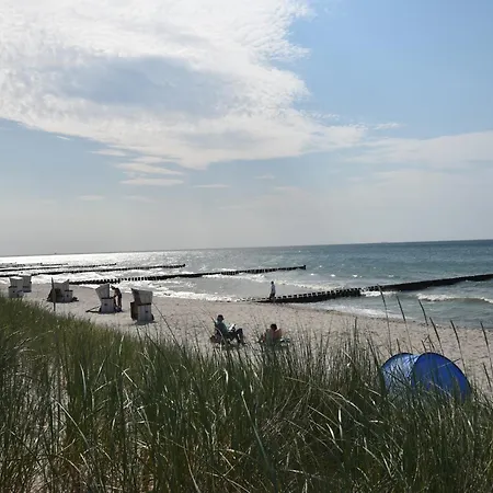 Beautiful In Damgarten With Garden Lägenhet *