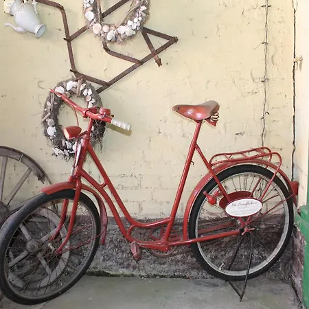 Lägenhet Beautiful In Damgarten With Garden *