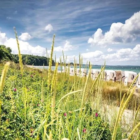 Lägenhet Beautiful In Damgarten With Garden