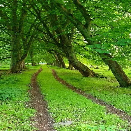 Beautiful In Damgarten With Garden Lägenhet Ribnitz-Damgarten